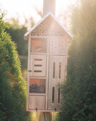 V akejkoľvek záhrade je neodmysliteľnou súčasťou aj hmyz. V poslednom čase, aj z dôvodu intenzívneho poľnohospodárstva kde...