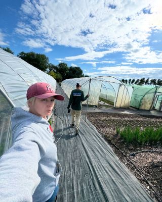 🌱 Farmárska dilema alebo “Dnes nejdem do práce” Tak raz za 2roky sa nám stane, že ochorieme. Nič vážne, ale väčšinou...